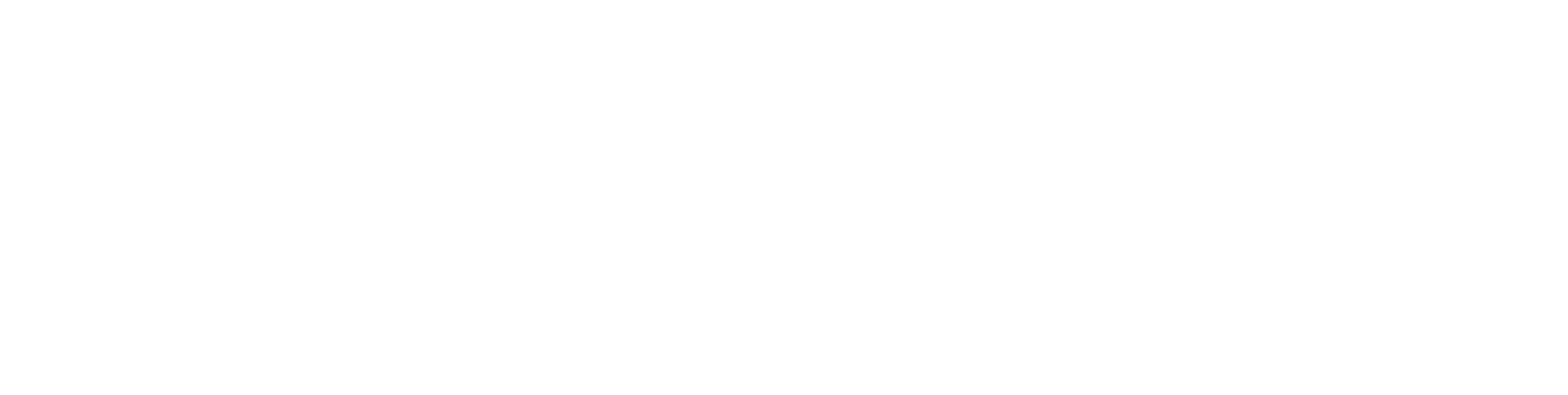 Ice Agency Logo